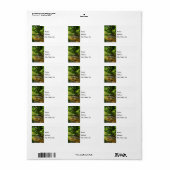 カントリークリーク住所 シール (フルシート)