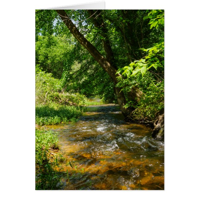 カントリークリーク (正面)