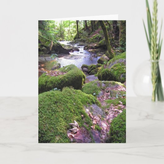 カントリークリーク カード (正面)