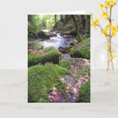 カントリークリーク カード (黄色い花)