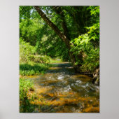 カントリークリーク ポスター (正面)