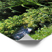 カントリーコテージガーデンパス ポスター (角)