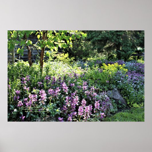 カントリーコテージノースサイド春園 ポスター (正面)