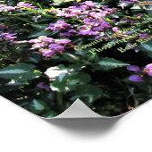 カントリーコテージノースサイド春園 ポスター (角)