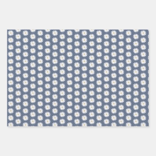 カントリーコテージブルーグースプレイドとデイジー ラッピングペーパーシート (正面3)