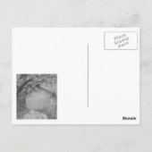 カントリーコテージペット葉書 ポストカード (裏面)