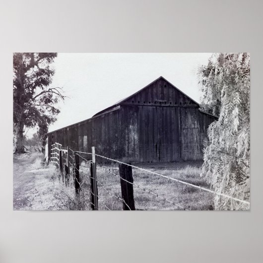 カントリーコレクション – 独立 ポスター (正面)