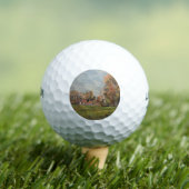 カントリーサイドのまわりにラグニー（フランス） （農村風景） ゴルフボール (インサイチュ 木)