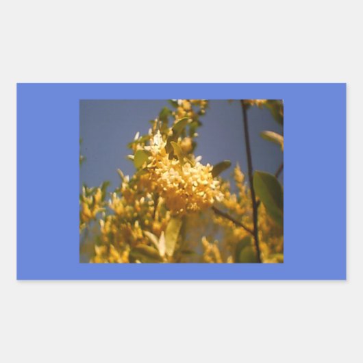 カントリーサマーフローラ 長方形シール (正面)