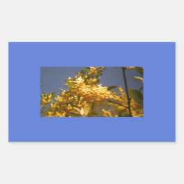 カントリーサマーフローラ 長方形シール