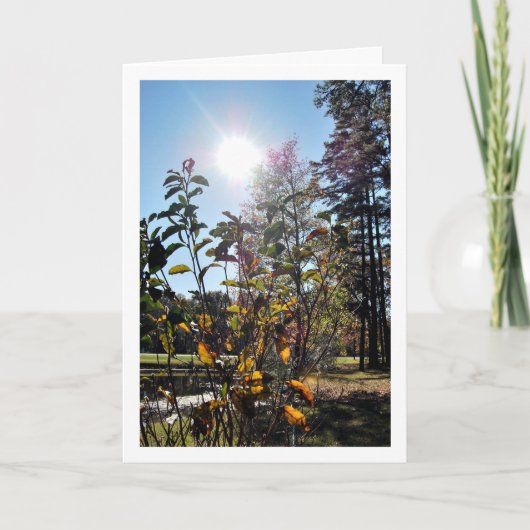 カントリーサマー風景 カード (正面)