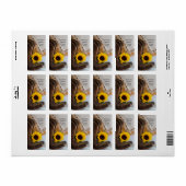 カントリーサンフラワーズアンドレース結婚式の引き出物ラベル ラベル (フルシート)