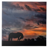 カントリーサンライズ タイル (正面)