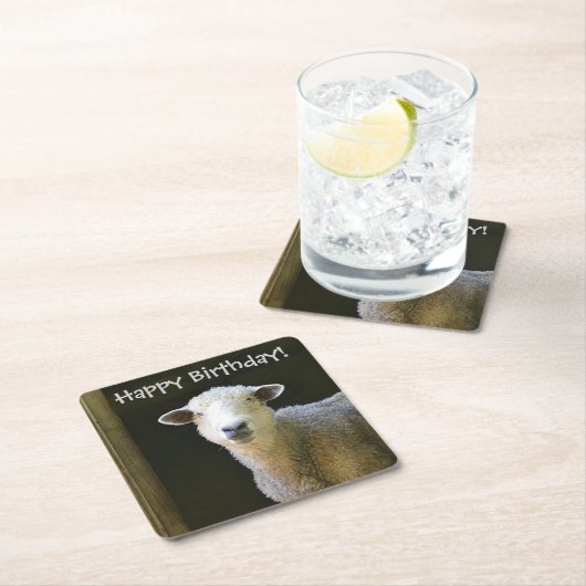 カントリーシープパーティー スクエアペーパーコースター (インサイチュ)