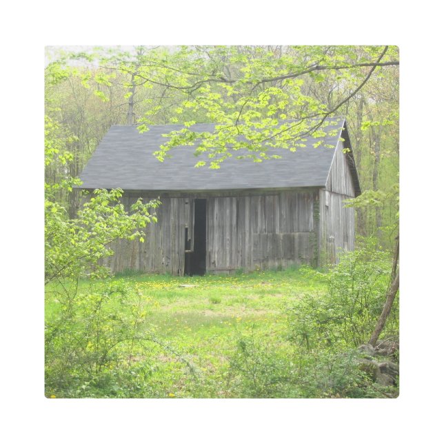 カントリーバーンイン春 メタルプリント (正面)