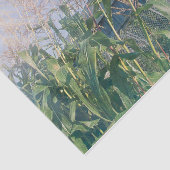 カントリーバ素朴ンブルースカイサンレイズ 薄葉紙 (詳細)