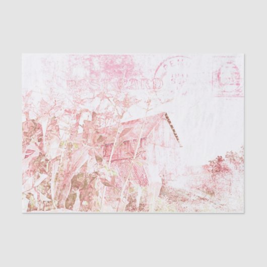 カントリーバ素朴ンホワイトブラウン動揺してスクリプト 薄葉紙 (正面)