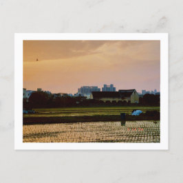 カントリービーサンセット春 ポストカード