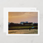 カントリービーサンセット春 ポストカード (正面/裏面)