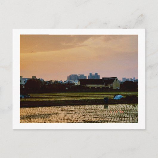 カントリービーサンセット春 ポストカード (正面)