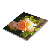 カントリーピーチバラ タイル (側面)