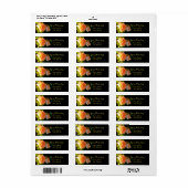 カントリーピーチバラ ラベル (フルシート)