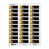 カントリーピーチバラ ラベル (フルシート)