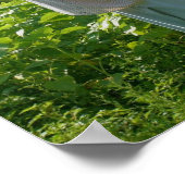 カントリーファームかかし ポスター (角)