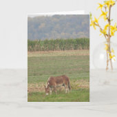 . .カントリーフィールドのかわいいロバ カード (黄色い花)