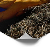 カントリーフェアの巨大なカボチャブルーリボン ポスター (角)