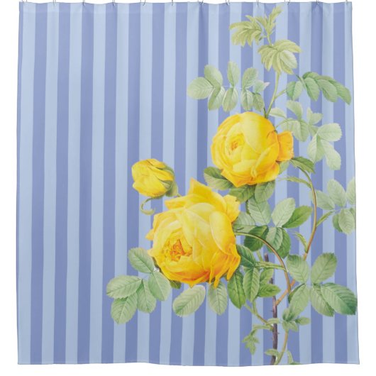 カントリーフランスのイエローローズオンブルーストライプローズ シャワーカーテン (正面)