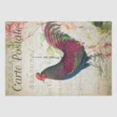 カントリーフランスのルーカラフルスター 薄葉紙 (正面)