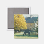 カントリーホース – マグネット (正面/裏面)