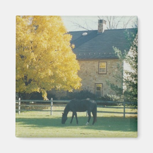 カントリーホース – マグネット (正面)