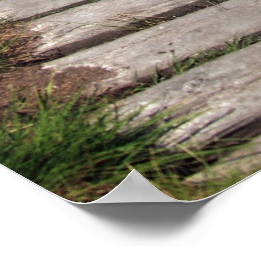 カントリーボードウォーク経路のポスター ポスター (角)