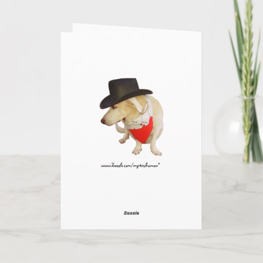 カントリーミュージック及び実験室のカスタマイズ可能な誕生日 カード (裏面)