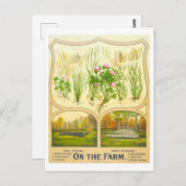 カントリーライフ農業ヴィンテージリトグラフ葉書 ポストカード (正面/裏面)
