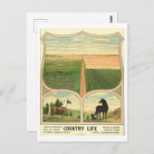 カントリーライフ農業ヴィンテージリトグラフ葉書 ポストカード (正面/裏面)