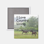 カントリーリビング遊ウマズマグネット マグネット (正面/裏面)