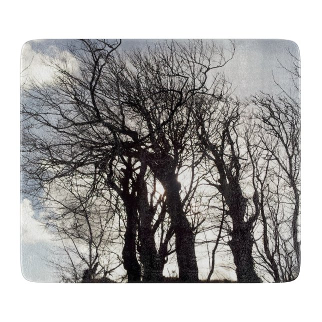カントリーレーンコーンウォールイングランド沿いの冬の木 カッティングボード (正面)