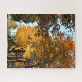 カントリーロードの秋の色 ジグソーパズル (横)