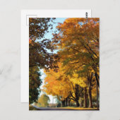 カントリーロードの秋の色 ポストカード (正面/裏面)
