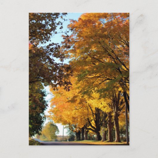 カントリーロードの秋の色 ポストカード (正面)