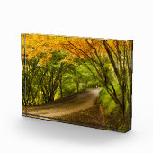 カントリーロードイン秋 フォトブロック (右)