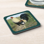 カントリーロードガメコック コースター (左側)