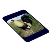 カントリーロードガメコック マグネット (右側)