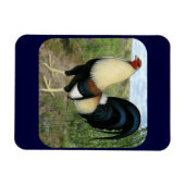 カントリーロードガメコック マグネット (横)