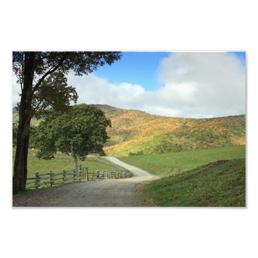 カントリーロードプリント フォトプリント            (正面)