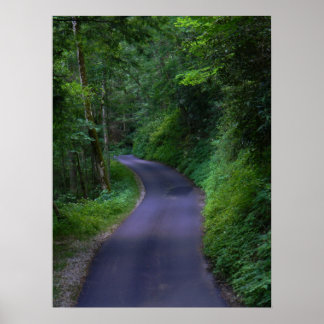 カントリーロードポスター ポスター