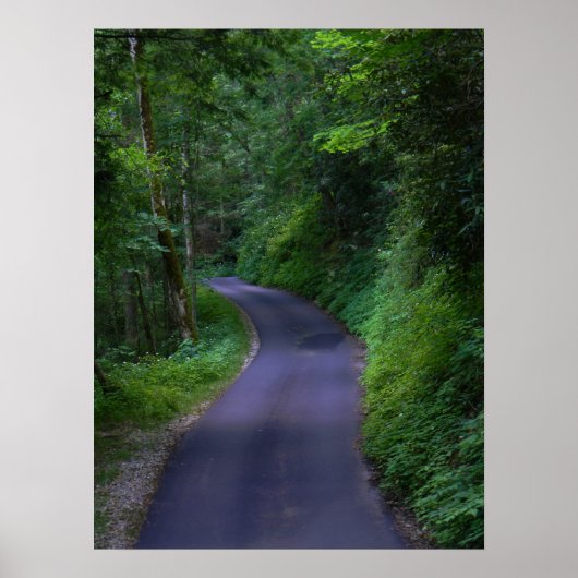 カントリーロードポスター ポスター (正面)